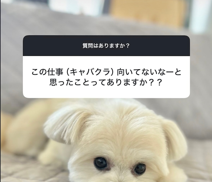 朝陽 凪