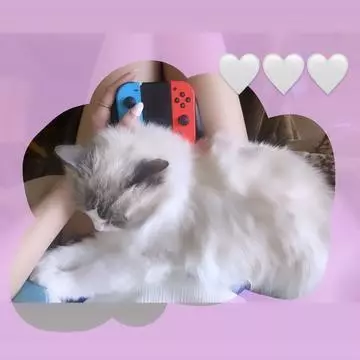 蓮海 マリーヤ
