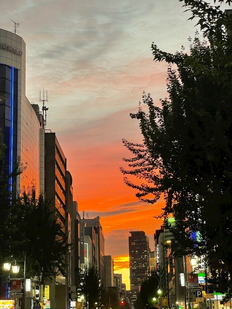 朝倉 しおり