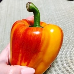 りえ