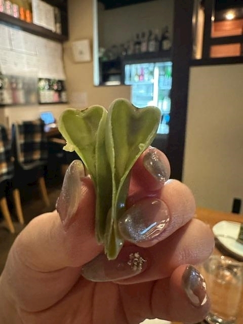 ゆきの