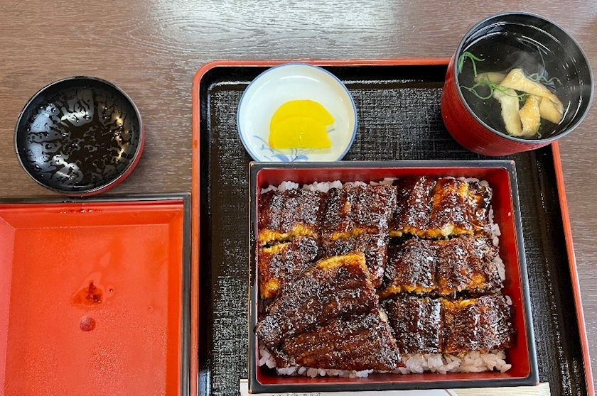 朝倉 しおり
