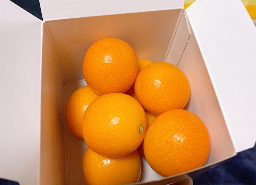 りょう