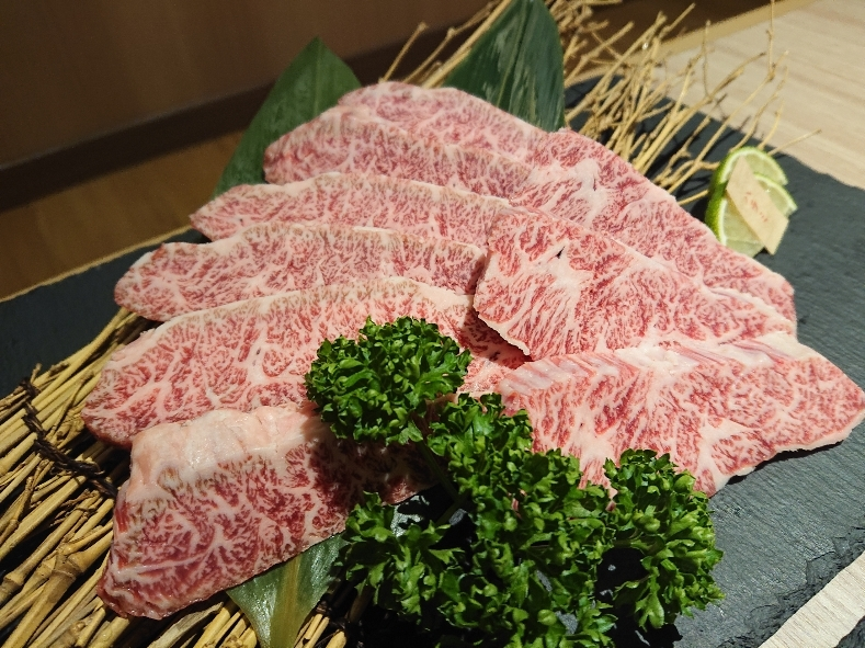 五条 椿