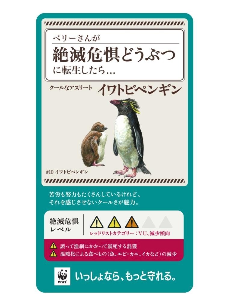 ベリー