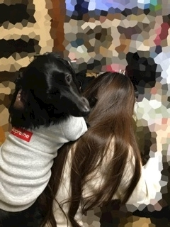 りえ