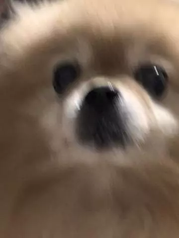 はるか
