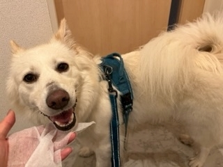 京 さゆみ