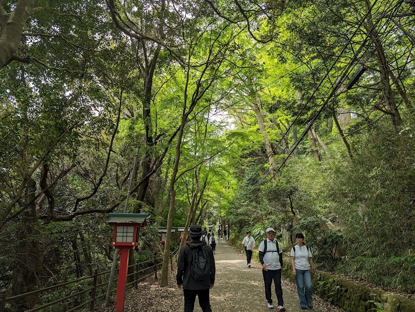 椎名 あき