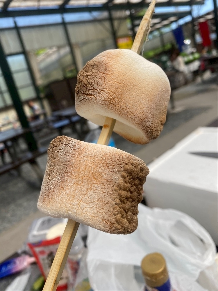 白咲 みな