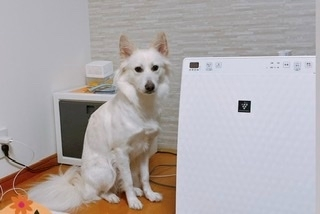 京 さゆみ