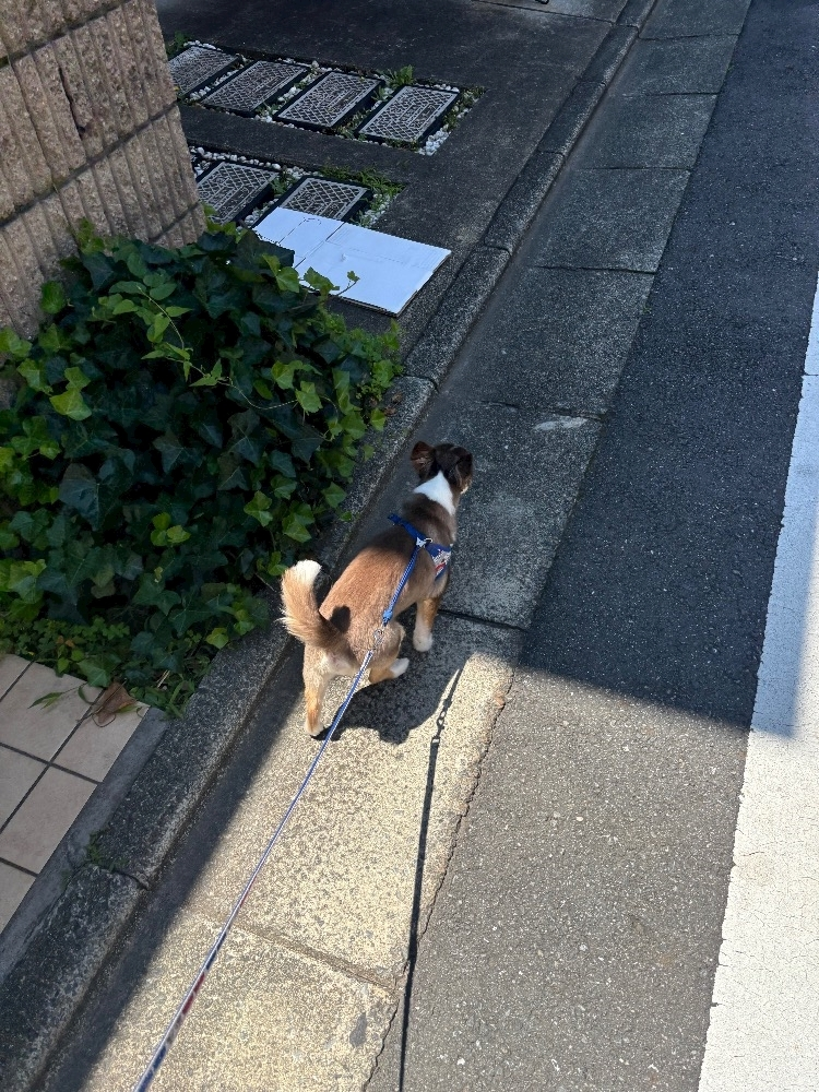 さな