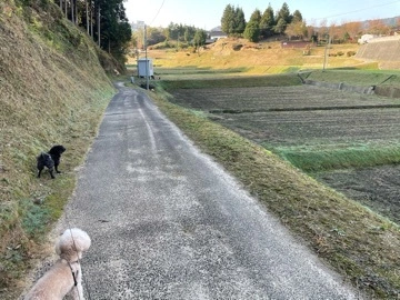 なな