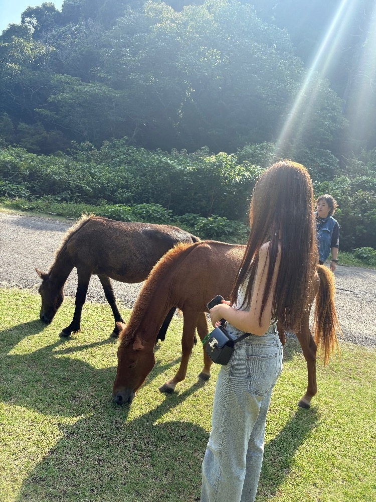 のぞみ