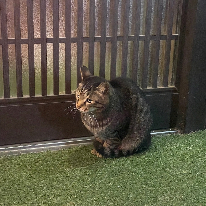 ひじり