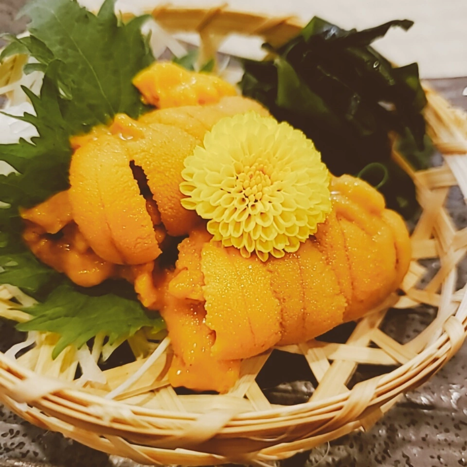 紫音