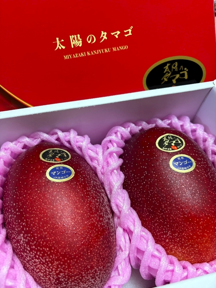 桃井 くるみ