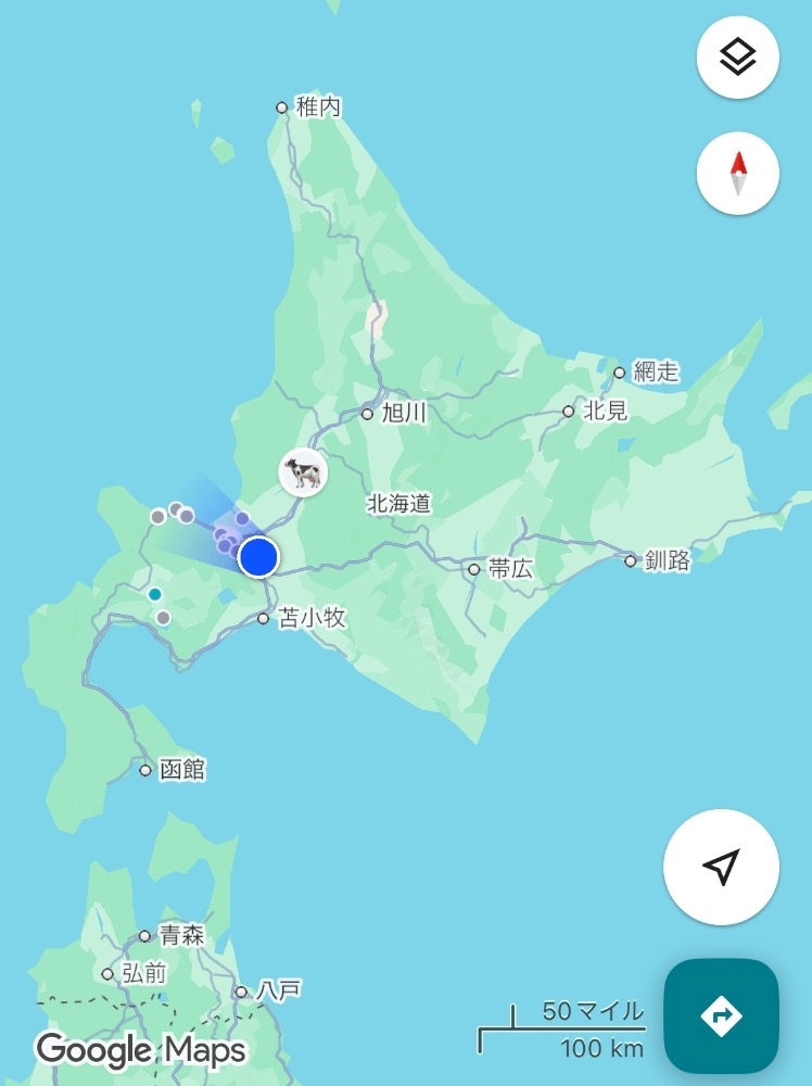 望月 りん