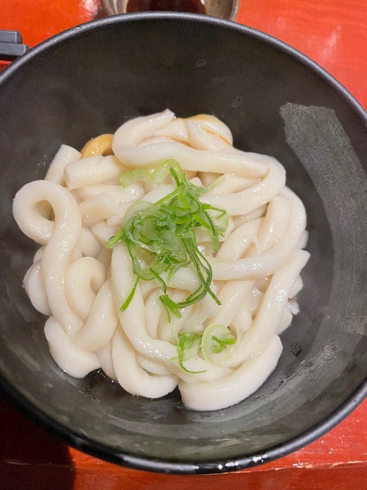 朝倉 しおり