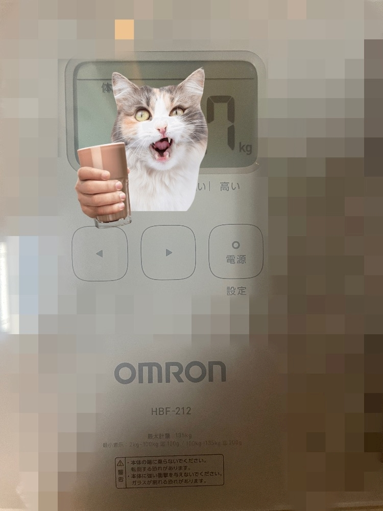 四宮 ねこ