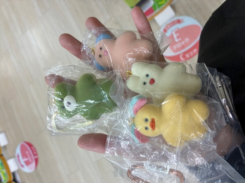 泉 りさ