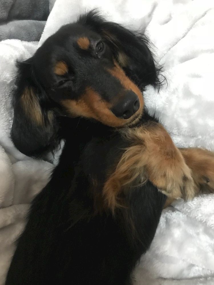 ゆうな