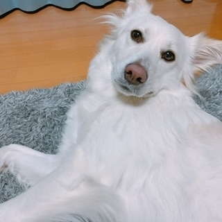 京 さゆみ