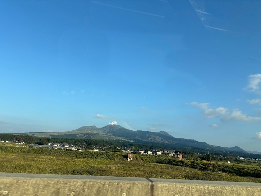 椿