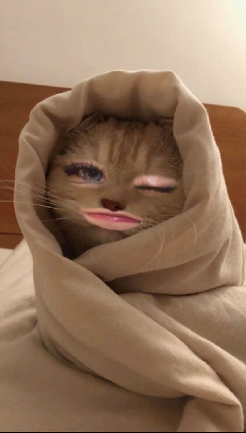 ひめち