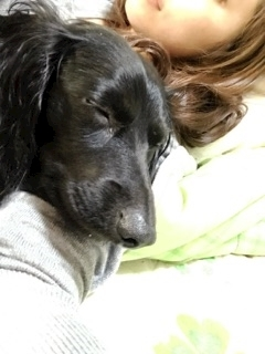 りえ
