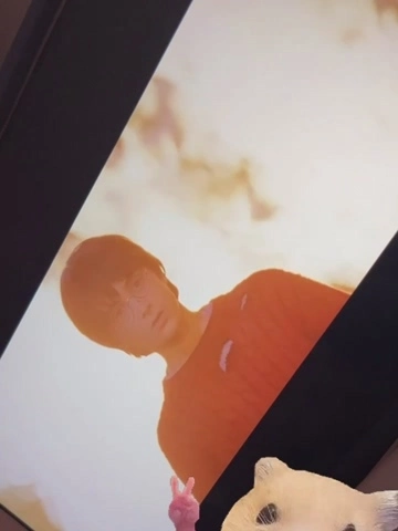七星 夏純
