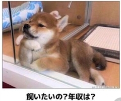 さくら
