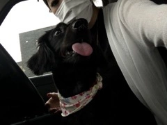 りえ