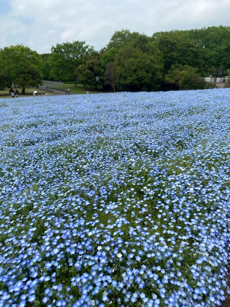 みお