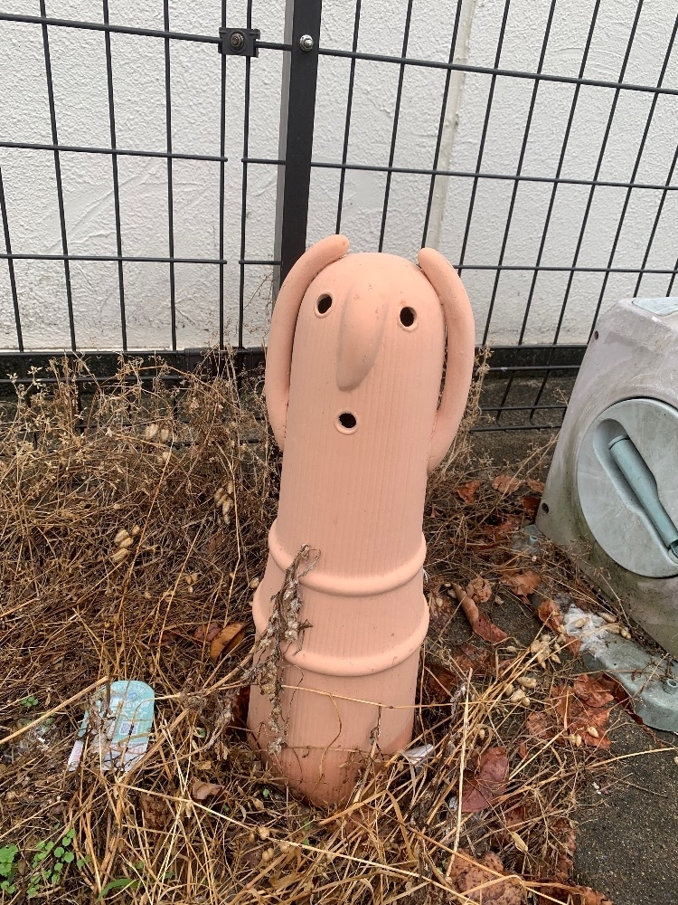 柏木 唯愛