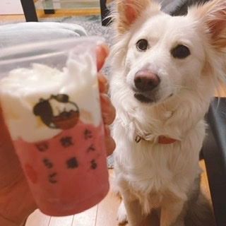 京 さゆみ