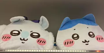 七星 夏純