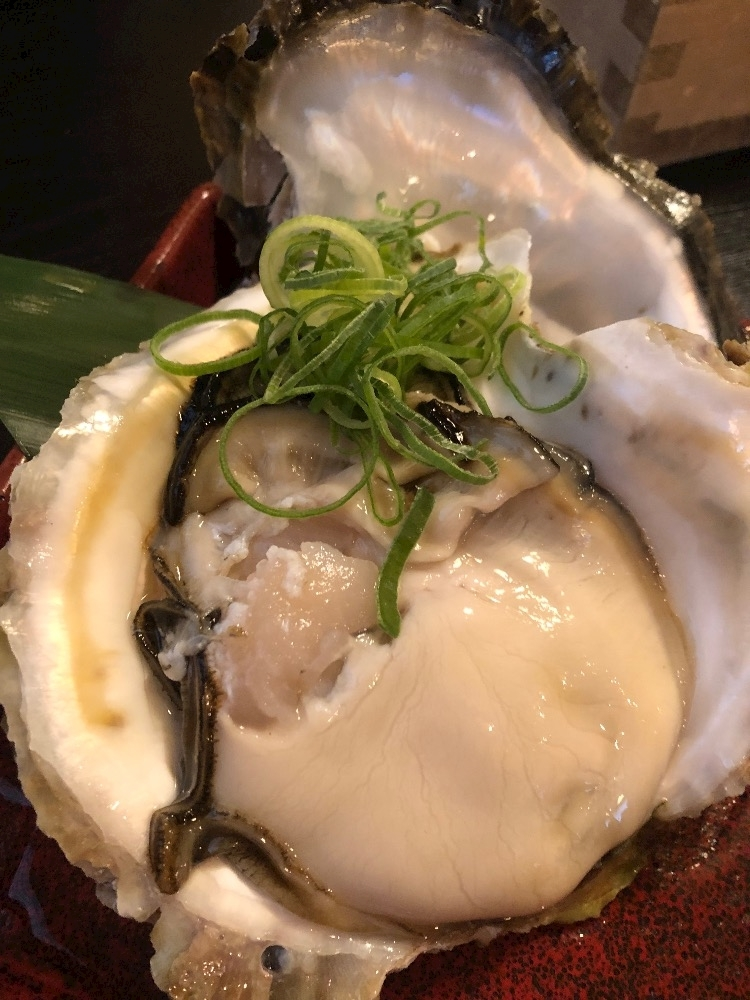 泉 ゆら