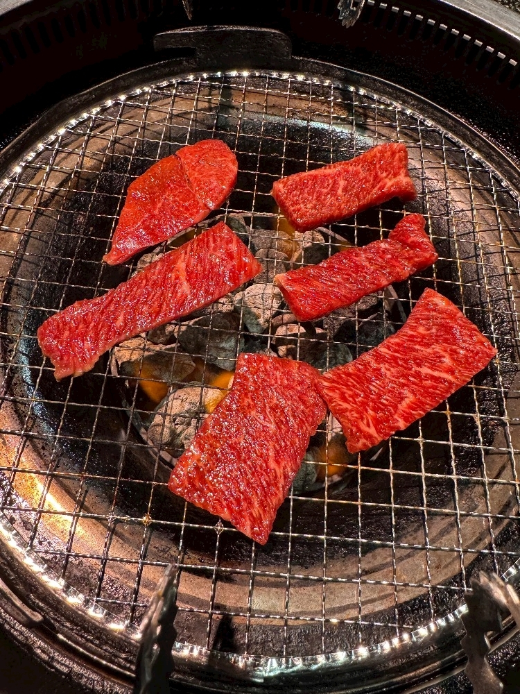 葉山 ゆうり