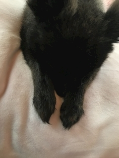 ティナ