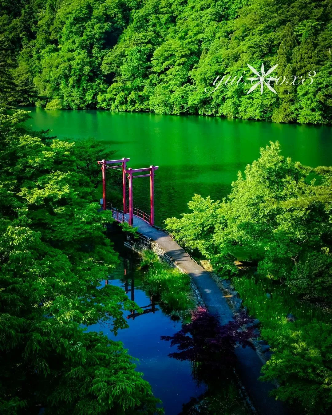 神崎 唯