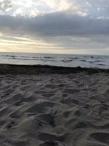 あやの