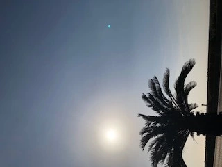 ゆかり