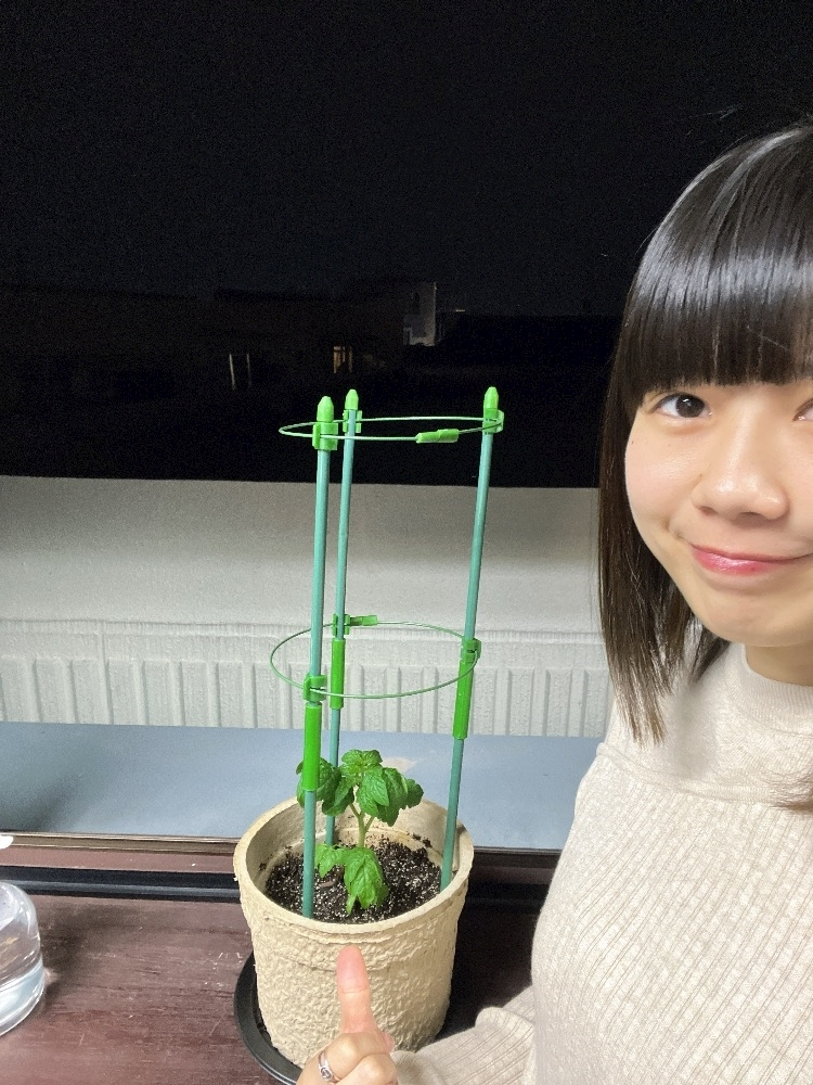 さりな