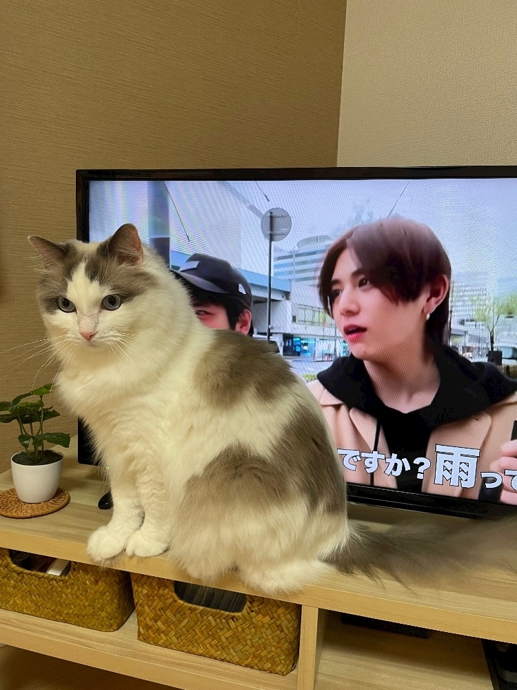 辻 みなみ