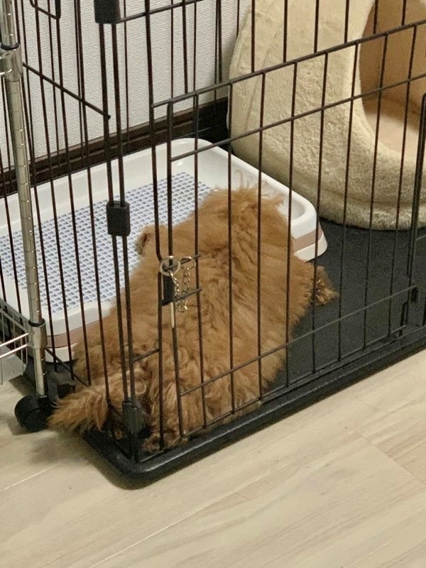 一ノ瀬 はづき