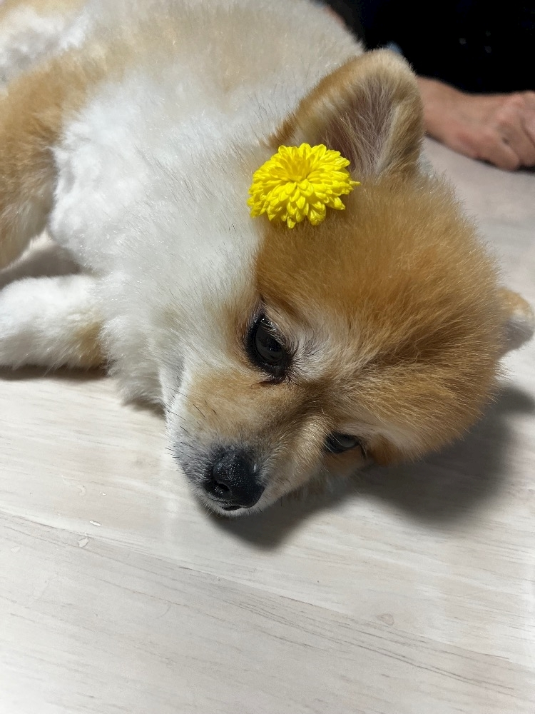 柏木 唯愛
