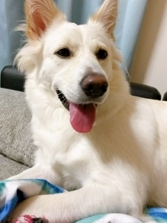 京 さゆみ