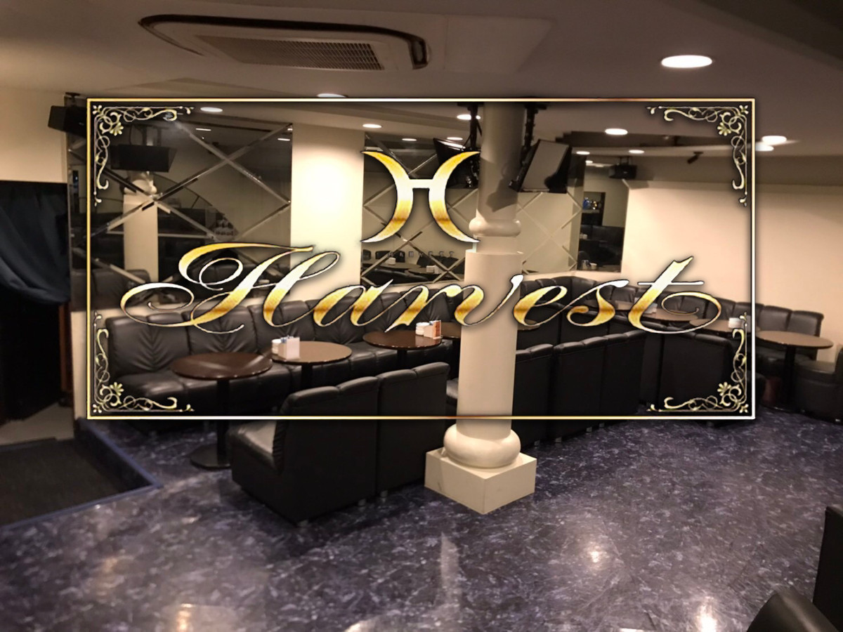 Harvest ハーベスト 佐世保市山県町 ラウンジの求人情報 ナイスタ求人