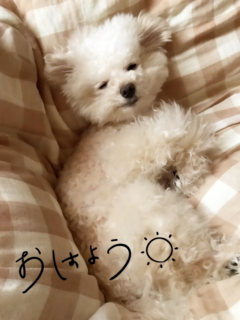 夏樹 あや